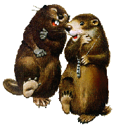 Aktuelles / Witziges